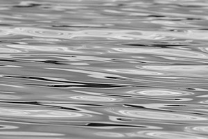 20250816-C-0011.jpg