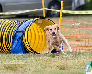 20150612-CCKC-0019.jpg