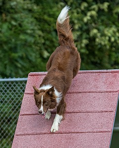 20200819-0994.jpg
