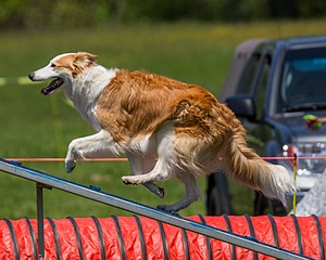 20170520-NEAT-1490.jpg