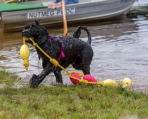 "Mistral" & Tobi-Ann