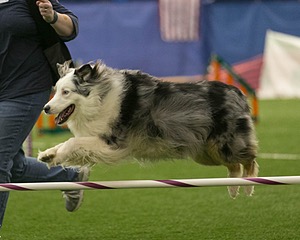 20150321-LEAP-1472.jpg
