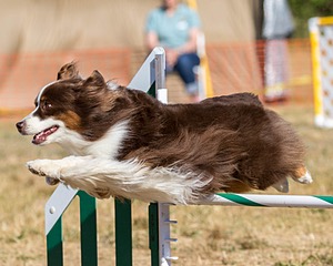 20160619-CCKC-0138.jpg