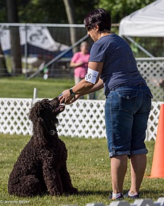 16 - GCH CH Chantico's Shelter From The Storm CD RA MX AXJ MXP2 MJP2 MJPB XF DS (Reef)