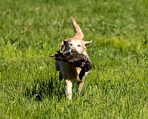 20220605-FINL-0011.jpg