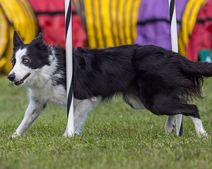 20230917-PVKC-2741.jpg