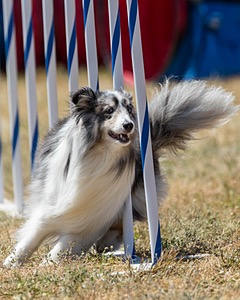 20160618-CCKC-1926.jpg