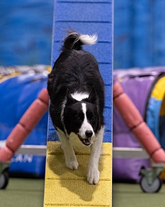 20260221-0866.jpg