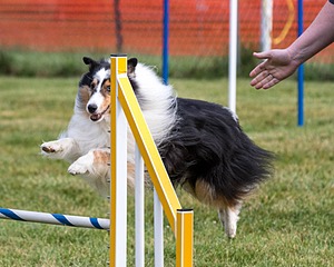 20200819-0269.jpg