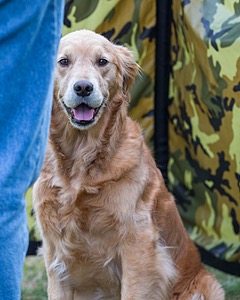 Josie