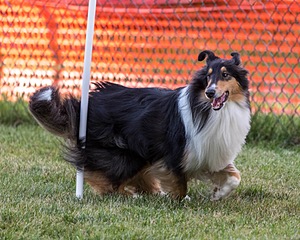 20200819-2939.jpg