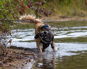 20161008-WCXW-0025.jpg