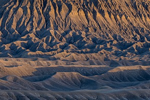 20241024-0262.jpg