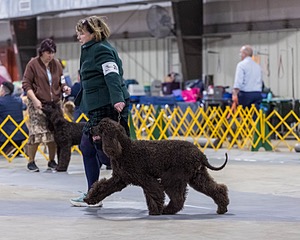 20260228-0214.jpg
