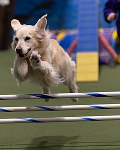 20260221-0626.jpg