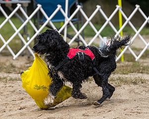 20210912-WWD-0420.jpg