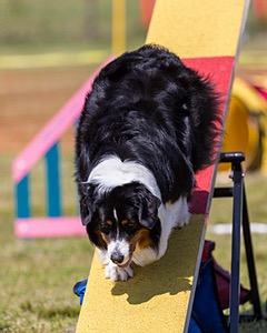 Kona Destremps