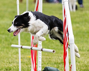 20160515-NEAT-1339.jpg
