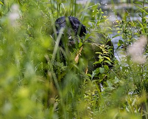 20170716-WCXW-1219.jpg
