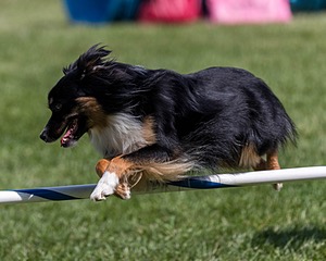 20200819-2179.jpg