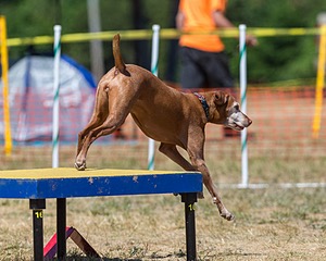 20160619-CCKC-1412.jpg