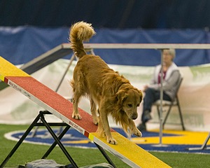 20150321-LEAP-0659.jpg