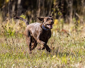 20221009-PWL-0020.jpg