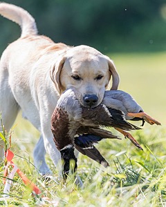 Weatherby Rowland
