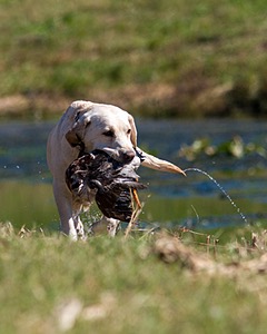 20061014-JHW-197.jpg