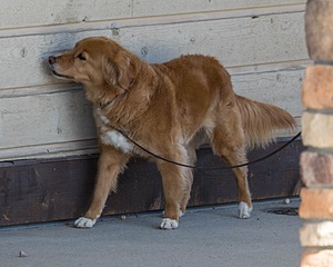 20250512-SCENT-0158.jpg