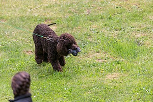20190512-BD-0131.jpg