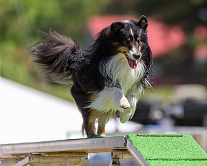 20180617-1378.jpg