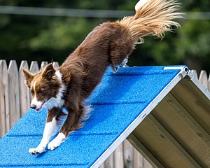 Mellie Hildreth