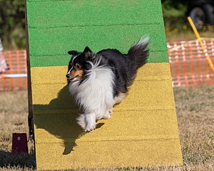 20160619-CCKC-0129.jpg