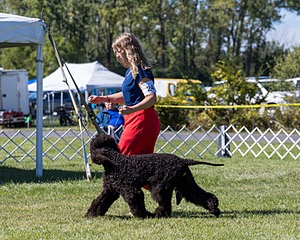 24 - POOLE'S IDE MODERN LOVE CGC (Remi)