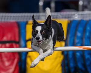 20230916-PVKC-1470-2.jpg