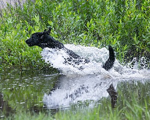 20130713-MHB2-0161.jpg