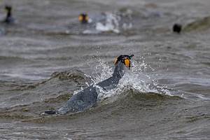 20191208-0506.jpg