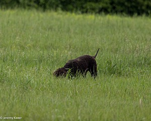 20220613-WD-0033.jpg