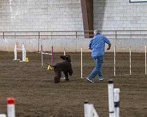 20190513-AG-0110.jpg