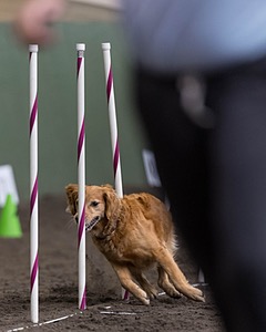 Callie Conroy