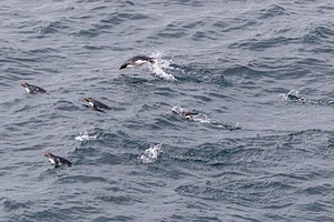 20191218-0878.jpg