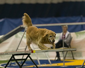 20150321-LEAP-0712.jpg