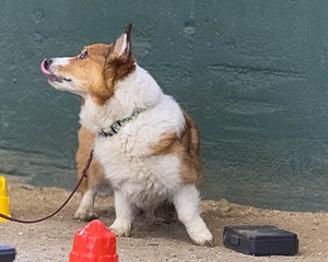 20260718-NSKC-0669.jpg