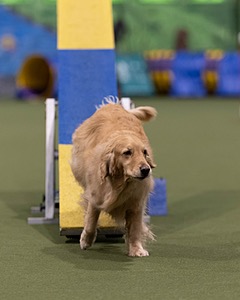 20260221-0679.jpg