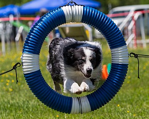 20170520-NEAT-1435.jpg