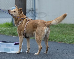 20260718-NSKC-0530.jpg