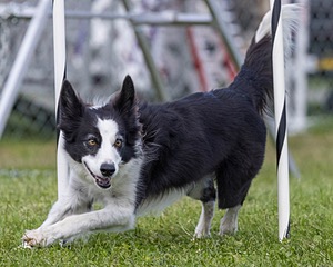 20230917-PVKC-2747.jpg