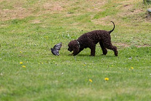 20190512-BD-0121.jpg