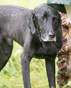 Beacon Stubbs